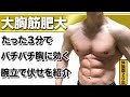 大胸筋を大きくするにはこの腕立て伏せ!筋トレの基礎はこれで作りましょう。