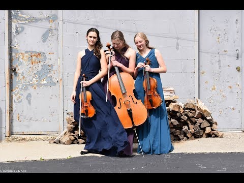 Beethoven String Trio Op. 9, No. 2, 2nd Movement: The Amicus Trio