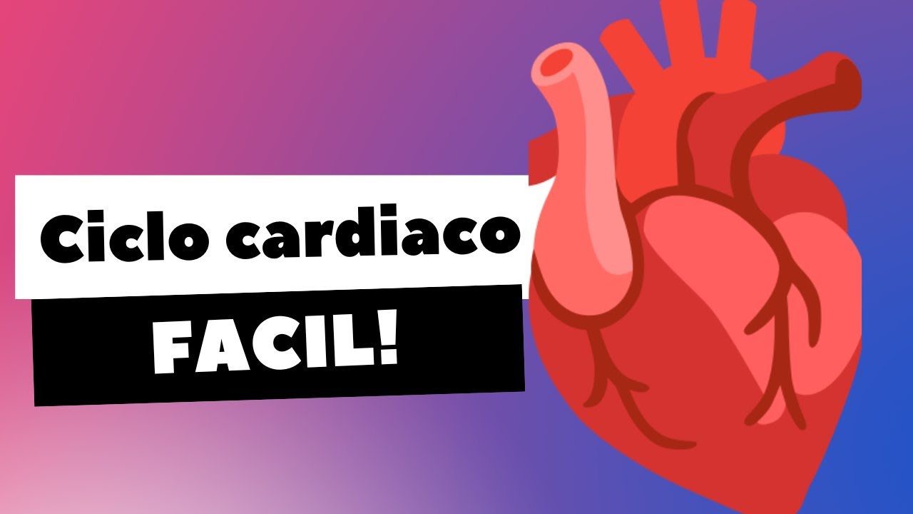 Ciclo cardiaco | Explicación FACIL | Fisiologia