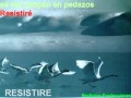 ataque 77 resistire karaoke 
