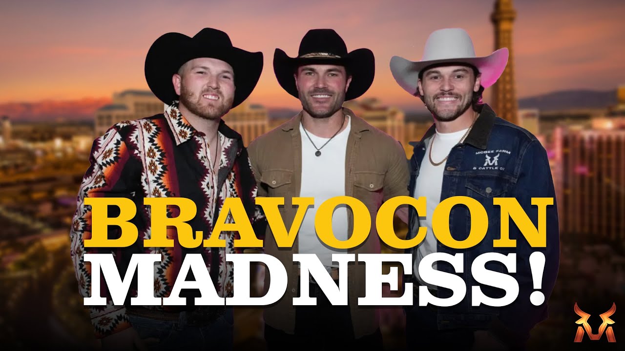 YouTube Thumbnail Downloader FULL HQ IMAGE