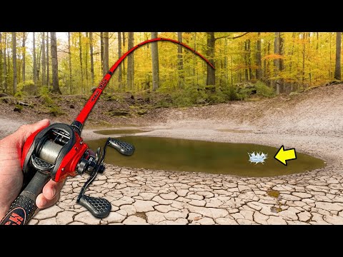 Fishing Tiny Puddles for Big Bass!