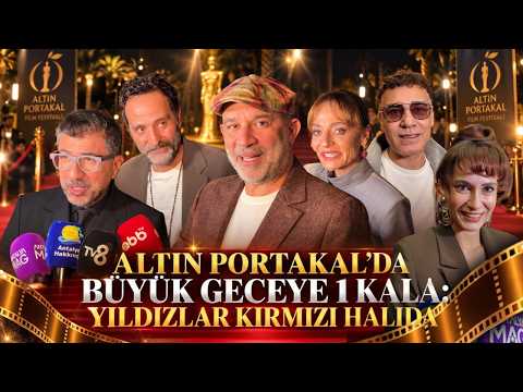 Altın Portakal'da büyük geceye 1 kala: Yıldızlar kırmızı halıda