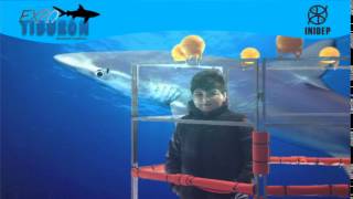 DIA 2 Expo Tiburon39