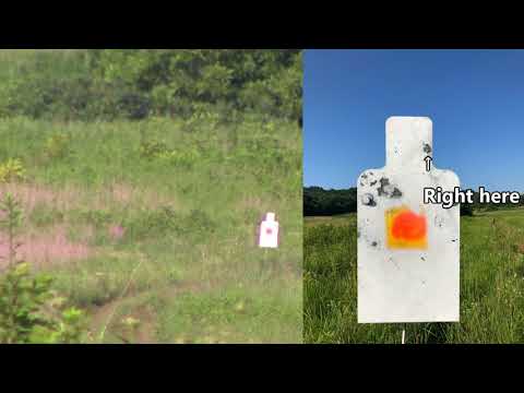 Savage 10 FP .308 at 593 yards