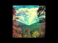 Desire Be Desire Go by Tame Impala