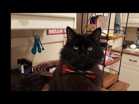 Upade March 24, 2019