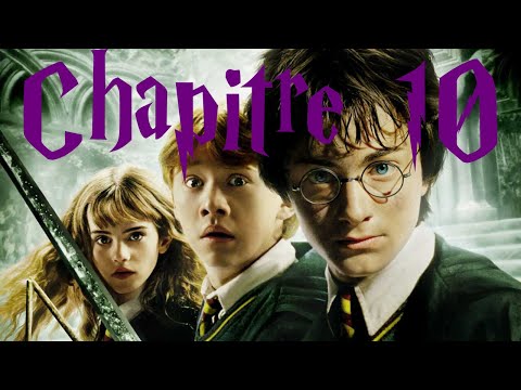 "Le Cognard Fou" - Lecture Harry Potter et la Chambre des Secrets #10