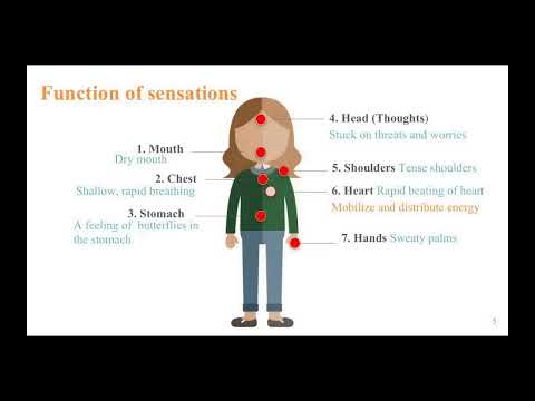 Sensations functions of stress  | Portuguese