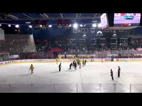 Danick Bouchard But (Amiens vs Rouen) - Ligue Magnus - 16/02/2024 (1-3)
