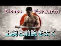 Forearm＆Biceps Workout 上腕と前腕の筋トレ