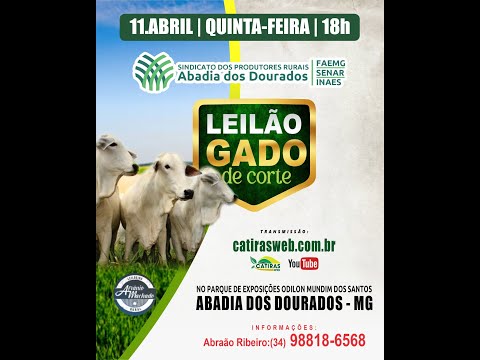 LEILÃO AO VIVO -  SIND. RURAL DE ABADIA DOS DOURADOS - MG - 11 DE ABRIL DE 2024.