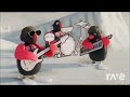 Para Pam With Pingu And Friends