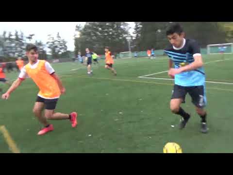 PALOGOL VS LOS NORDICOS - #LigaNuñez - #Apertura SLS Fecha 10 - 2022