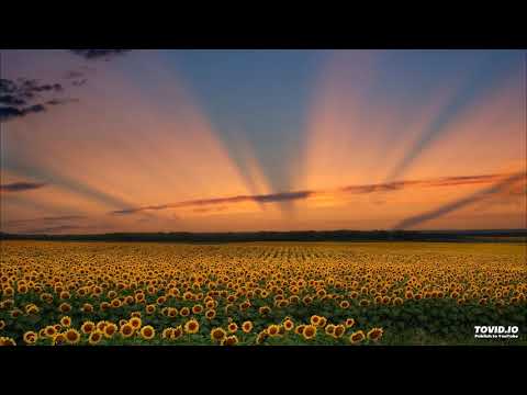 Marco V vs. Jens - Loops And Things (Marco V Relooped)