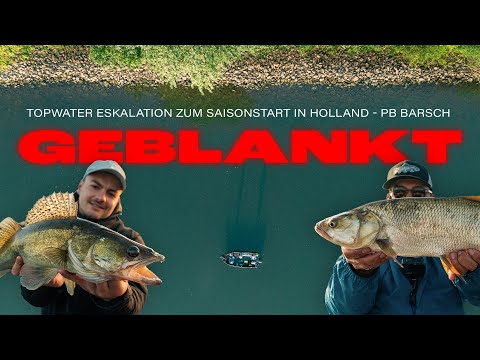 GEBLANKT | Topwater Eskalation zum Saisonstart in Holland - PB Barsch