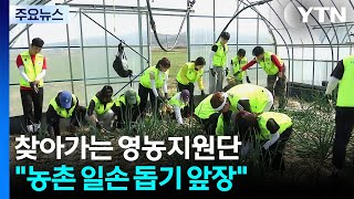 찾아가는 영농지원단...농촌 일손 돕기 앞장 / YTN