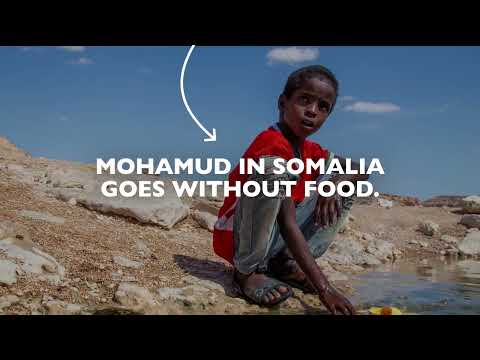 Global Hunger Crisis