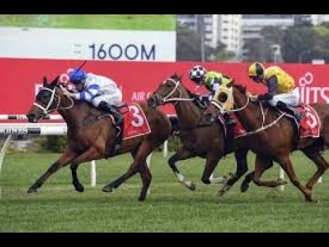 2020 ATC George Main Stakes _ Part Race