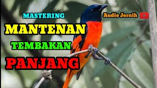 Download lagu SUARA KRISTAL PANJANG MASTERAN MANTENAN GUNUNG/HIMALAYA mp3 Download lagu SUARA KRISTAL PANJANG MASTERAN MANTENAN GUNUNG/HIMALAYA mp3