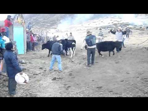 PACARAOS  2011 - FIESTA RODEO