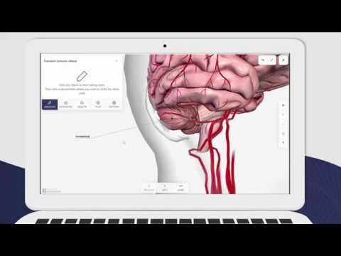 BioMap