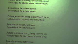 Autumn Leaves are Falling