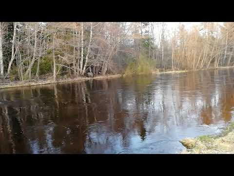 Illan tynkää täälätä