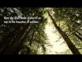 Forest - Susan Griffin, music by David Lanz
