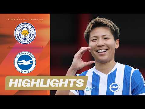 bg-highlight
