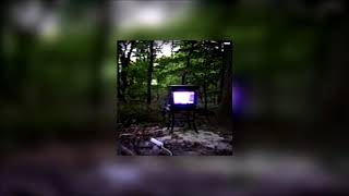 Bones - Disgrace (Áudio reverso - legendado)