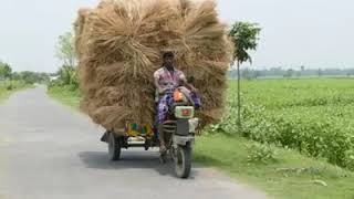 এলজিইডি ভিডিও চিত্র