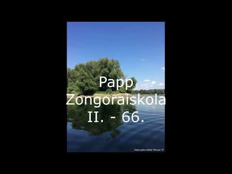Papp Zongoraiskola II. - 66