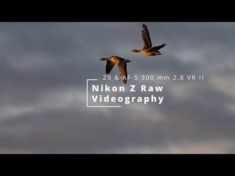 Video thumbnail for Video Review 3