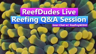ReefDudes Live Reefing Q&A Session - Gear/Equipment with ReefingWithO