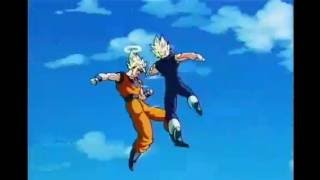 Goku Vs Vegeta