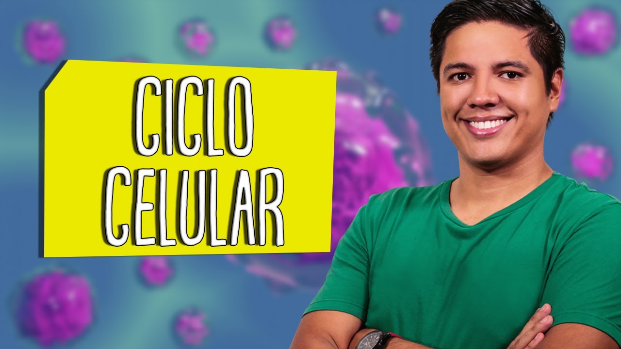 INTERFASE - CICLO CELULAR - Prof. Kennedy Ramos