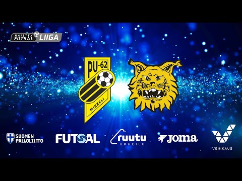 Maalikooste 2202 PU62 IlvesFS