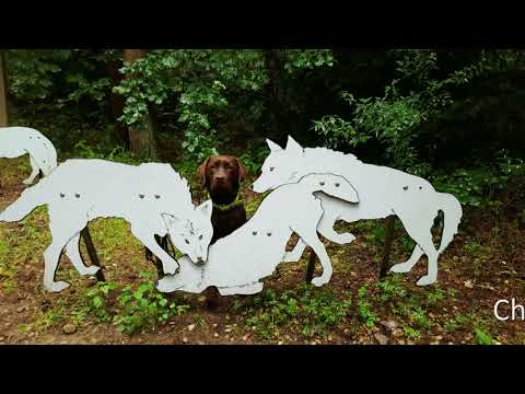 Charlie & Eddy im Natur und Umweltpark Güstrow