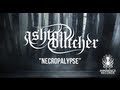 Ashton Butcher - Necropalypse 