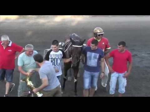 Probni kasački Derby i XIII Petrovdanska trka - Srbobran 2017.