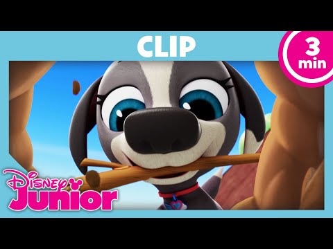 🔎 Alles verschwindet spurlos! | T.O.T.S.