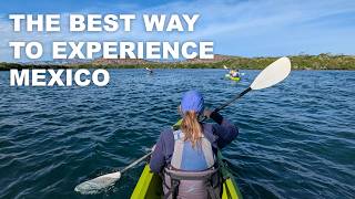 UnCruise Adventures Mexico Cruise in the Sea of Cortez on Safari Voyager