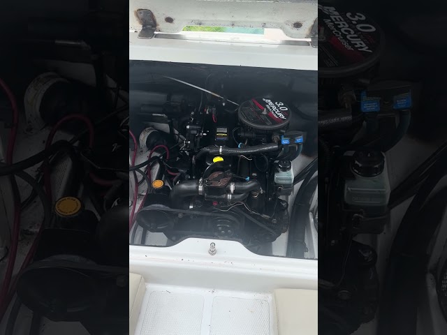 1137771 Campion S545 Allante Mercruiser 3.0 130hp with Tiki trailer