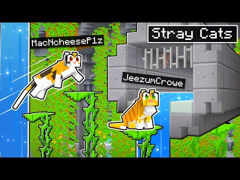 Playing as STRAY CATS in Minecraft