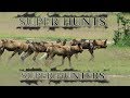 Super Hunts Super Hunters Teaser