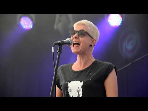 H.Lucyna -  Motyle ( tekst )