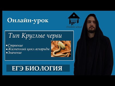 Круглые черви для ЕГЭ |ЕГЭ Биология| Freedom bio