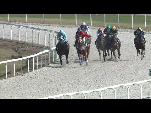 2021.10.17. 02. futam - LORD DERBY EMLÉKVERSENY HENDIKEP (V.o.) (szintetikus pálya