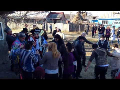 CAPRA DIN BELZENI LA LENUTA 4 2014